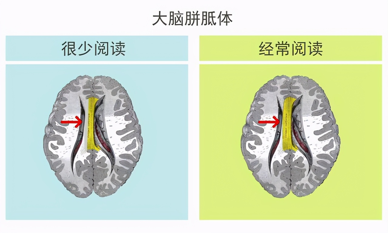 美国心理学家坦言：高智商儿童确实有共同点，但是和遗传关系不大