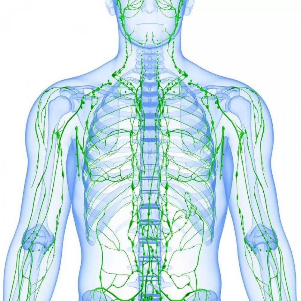 提高免疫力避免淋巴肿大，我们需要注意这6点