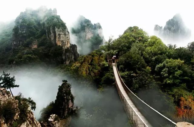 今年，运城文化旅游业这样干！