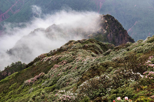 牛背山最佳旅游时间 